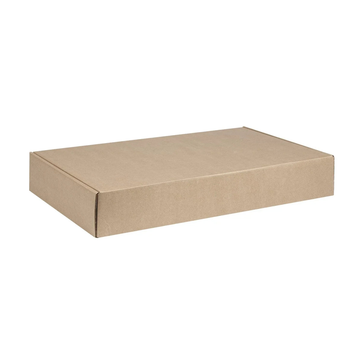 Jumbo Shipping Box