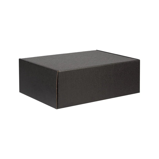 Econo Large Shipping Box