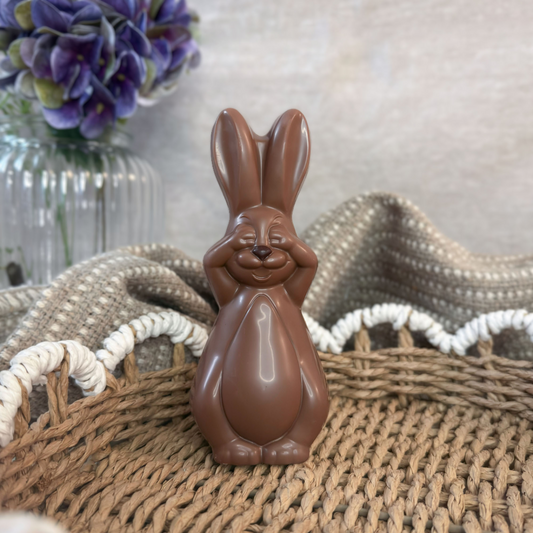 Daydreamer Bunny