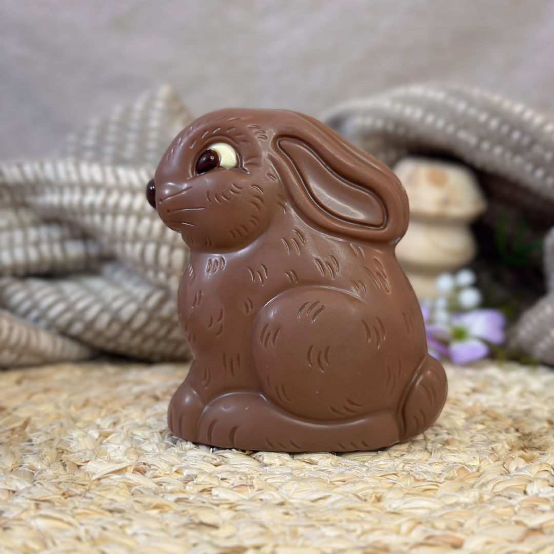 Hopscotch Bunny