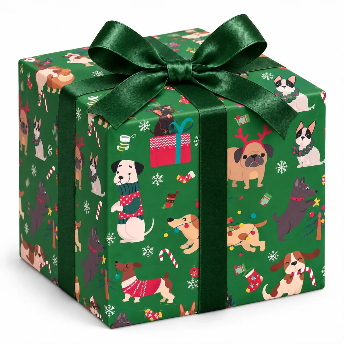 Santa Friend Christmas Wrap