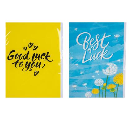 Card & Envelope Good Luck 1