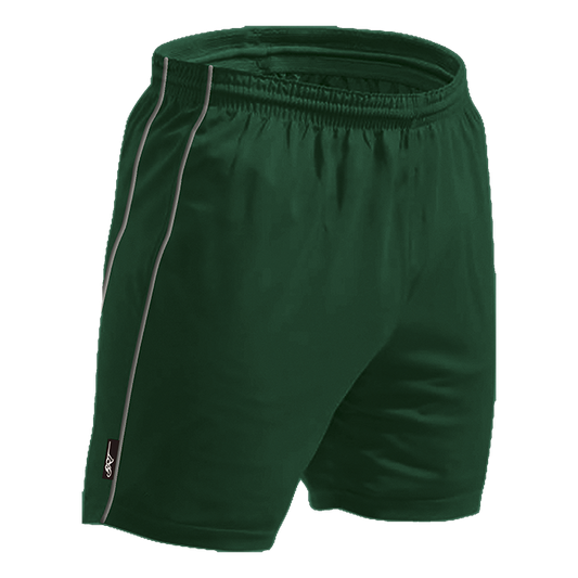BRT Reflect Shorts | Just Brand