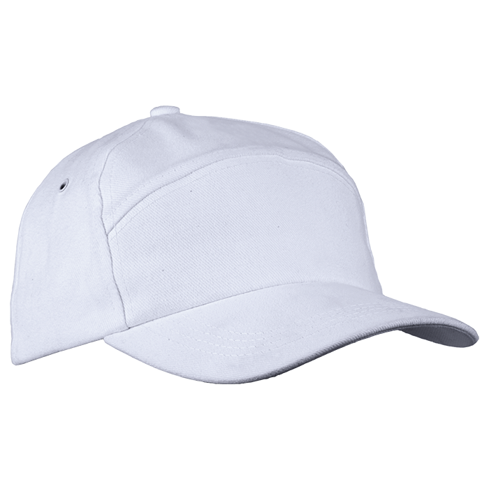 6 Panel Carbon Cap