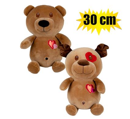 Plush Bear or Dog Valentine’s Day Gift