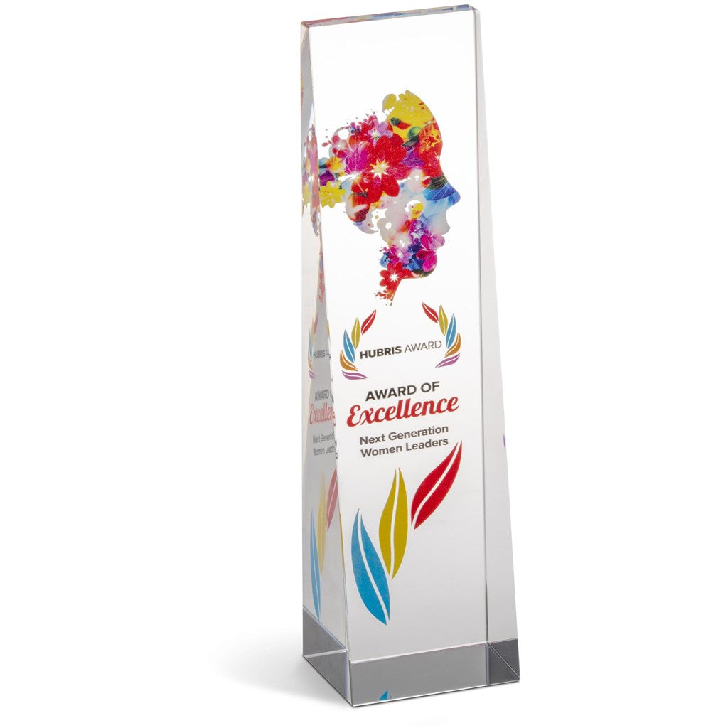 Hubris Award-Awards and Trophies-corporate gift ideas for employees-branded corporate gifts | corporate gifts south africa | Just Brand