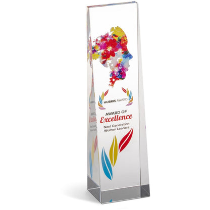 Hubris Award-Awards and Trophies-corporate gift ideas for employees-branded corporate gifts | corporate gifts south africa | Just Brand
