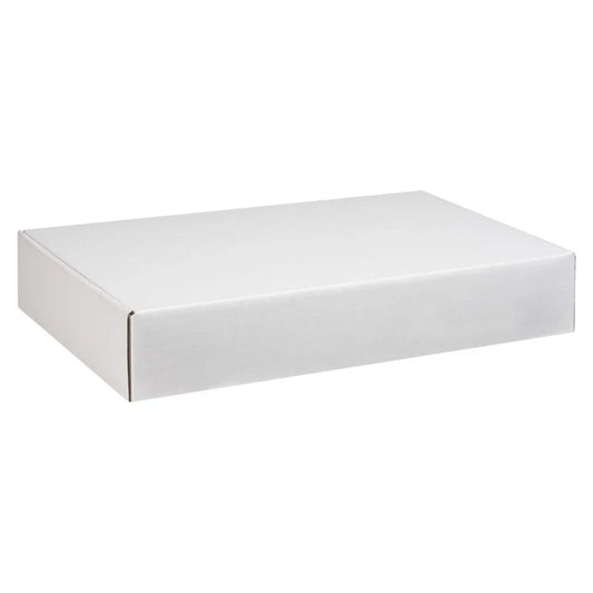 Jumbo Shipping Box