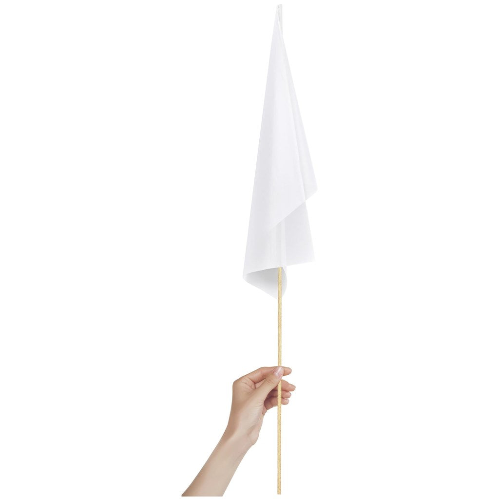 Champion Medium Hand Flag 450mm x 300mm