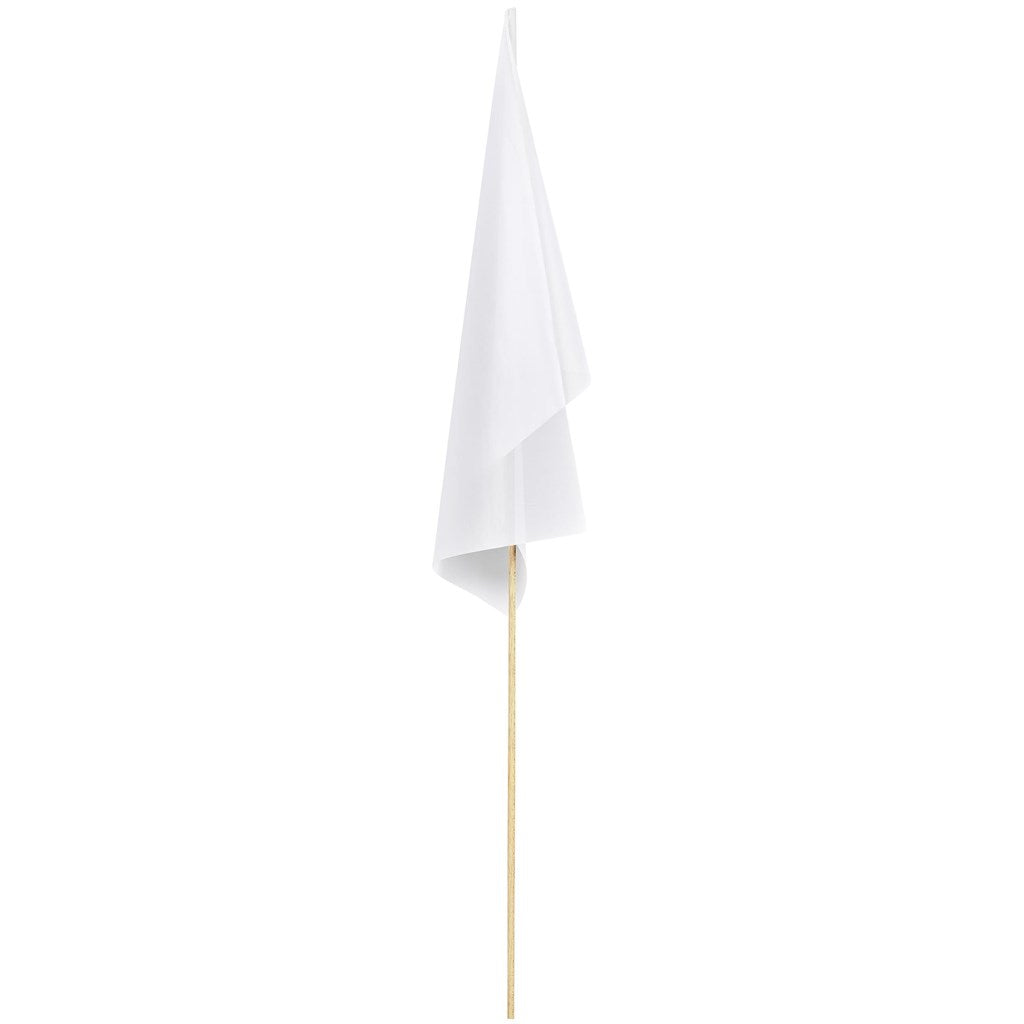 Champion Medium Hand Flag 450mm x 300mm-Hand Flags-Banners and Flags-Gift Wrap Shop