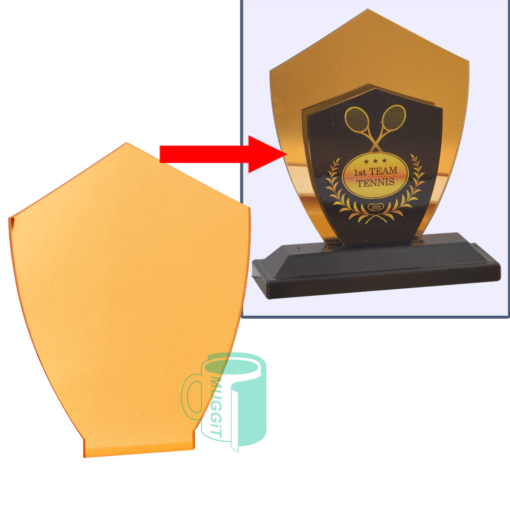 DIY Trophy Insert - Shield Gold M - product view 1