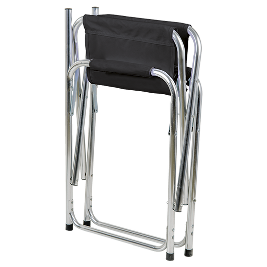 Steel Directors Chair