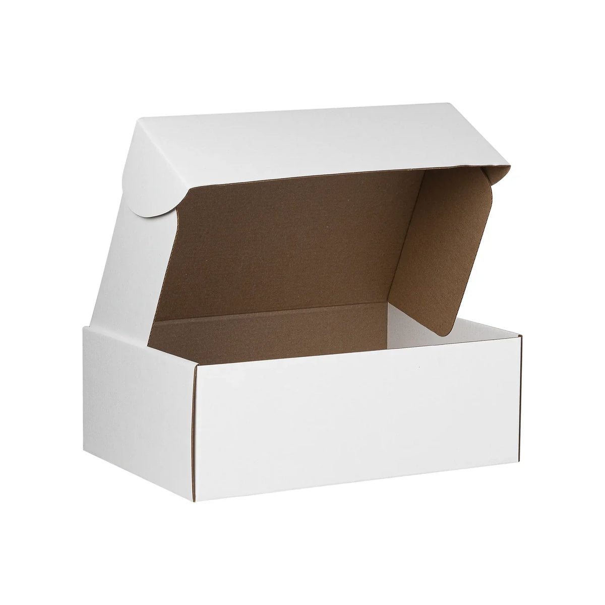 Econo Large Shipping Box