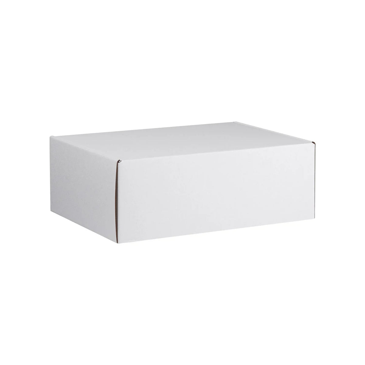 Econo Large Shipping Box