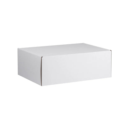 Econo Large Shipping Box