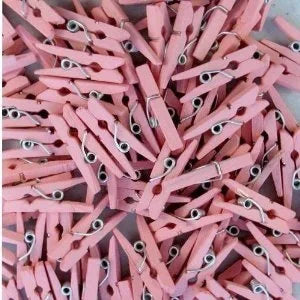 Mini Wooden Pegs