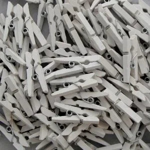Mini Wooden Pegs