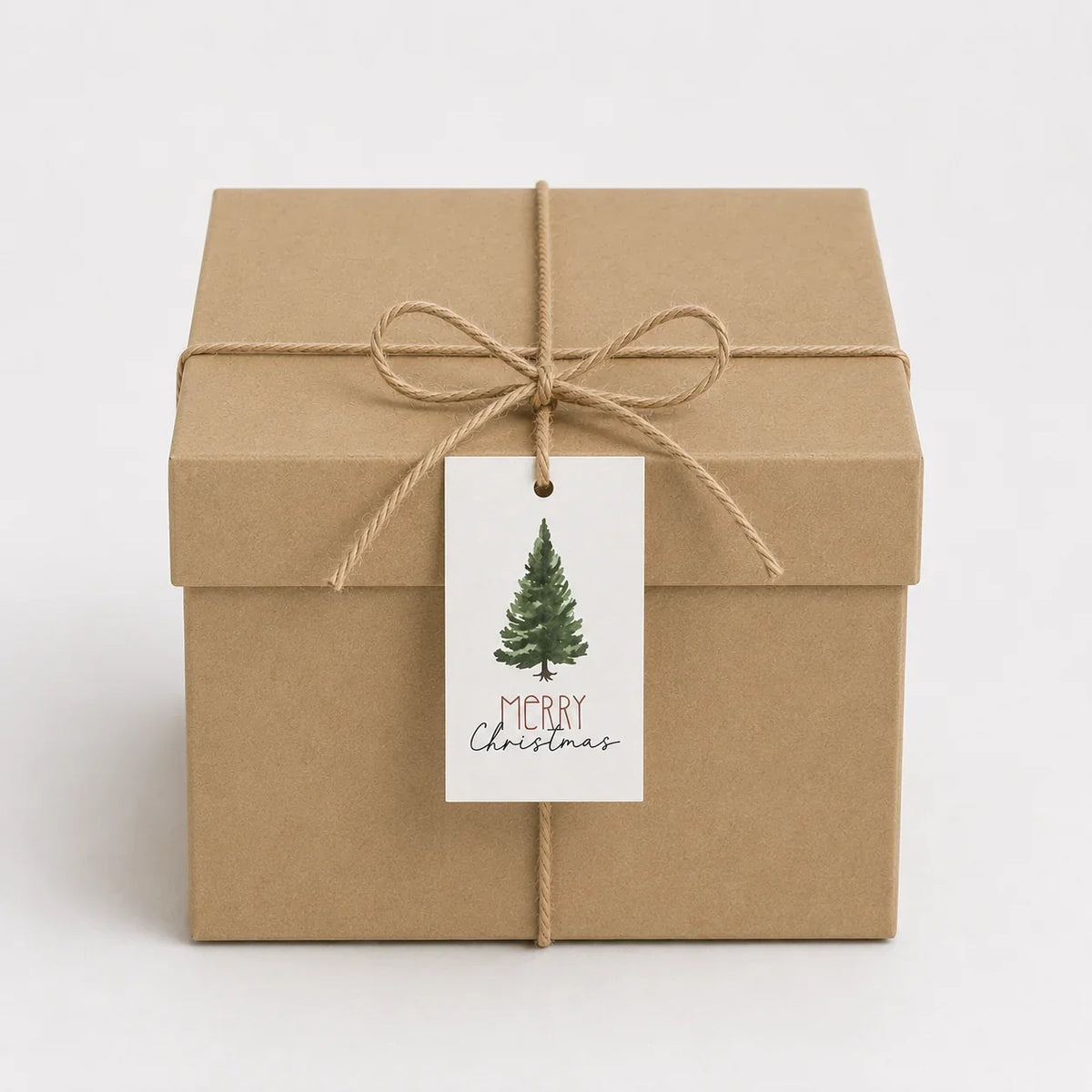 Merry Christmas Tree Tags