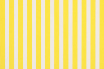 Striped Tissue Paper