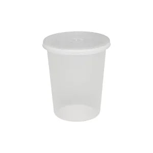 Clear Plastic Tubs and Lids