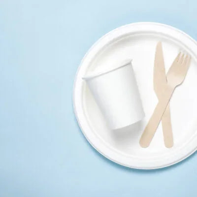 Sugar Cane Dinner Plates