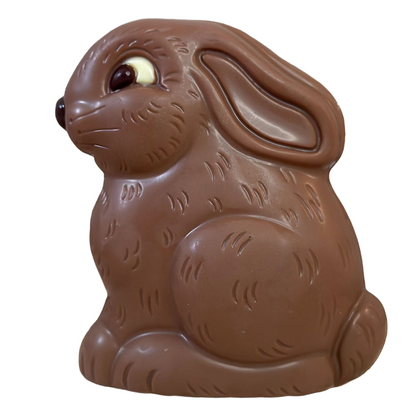 Hopscotch Bunny