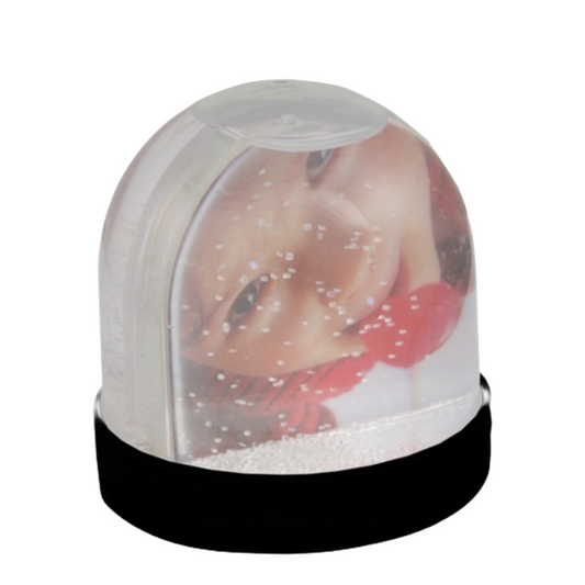 Picture Snow Globe