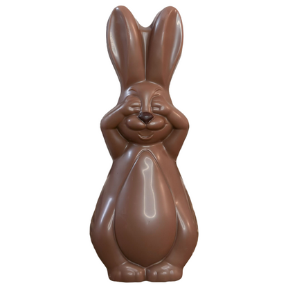 Daydreamer Bunny