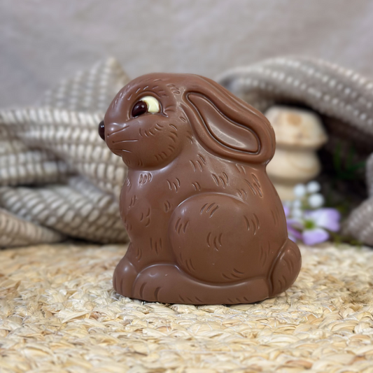 Hopscotch Bunny
