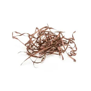 Colour Wood Wool