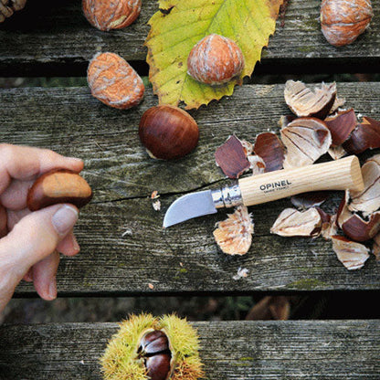 Opinel No 7 Chestnut Garlic & Fruit Pitting Knife