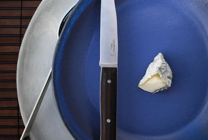 Opinel Facette Table Knives – Set of 4 – Thermo Heated