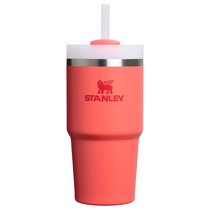 Stanley Quencher H2.0 FlowState™ Tumbler 0.6L / 20oz