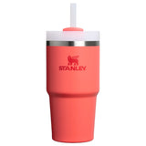 Stanley Quencher Tumblers