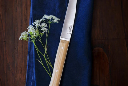 Opinel Facette Table Knives – Set of 4 – Olive