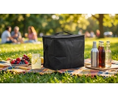 Pack-and-Go 12-Can Cooler Bag