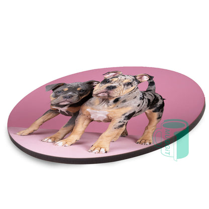 Gloss Hardboard Coasters - product view 4